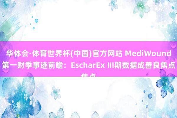 华体会·体育世界杯(中国)官方网站 MediWound第一财季事迹前瞻:EscharEx III期数据成善良焦点