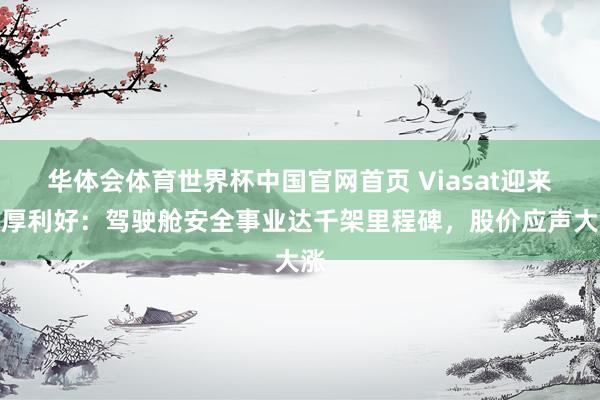 华体会体育世界杯中国官网首页 Viasat迎来双厚利好：驾驶舱安全事业达千架里程碑，股价应声大涨