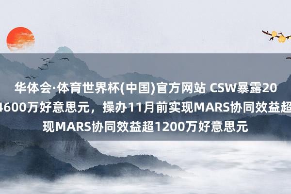 华体会·体育世界杯(中国)官方网站 CSW暴露2027财年利息开销4600万好意思元，操办11月前实现MARS协同效益超1200万好意思元