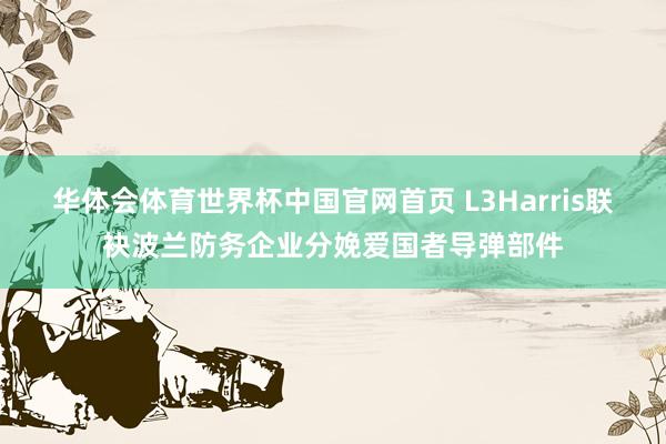 华体会体育世界杯中国官网首页 L3Harris联袂波兰防务企业分娩爱国者导弹部件