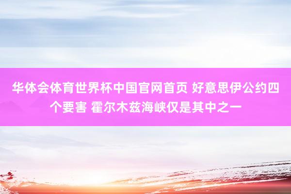 华体会体育世界杯中国官网首页 好意思伊公约四个要害 霍尔木兹海峡仅是其中之一