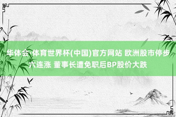 华体会·体育世界杯(中国)官方网站 欧洲股市停步六连涨 董事长遭免职后BP股价大跌