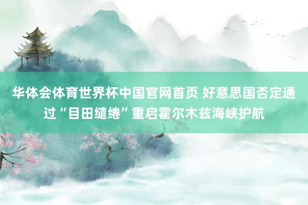 华体会体育世界杯中国官网首页 好意思国否定通过“目田缱绻”重启霍尔木兹海峡护航