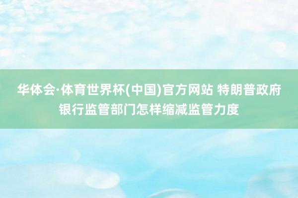 华体会·体育世界杯(中国)官方网站 特朗普政府银行监管部门怎样缩减监管力度