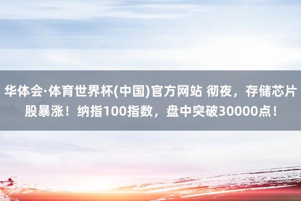 华体会·体育世界杯(中国)官方网站 彻夜,存储芯片股暴涨!纳指100指数,盘中突破30000点!