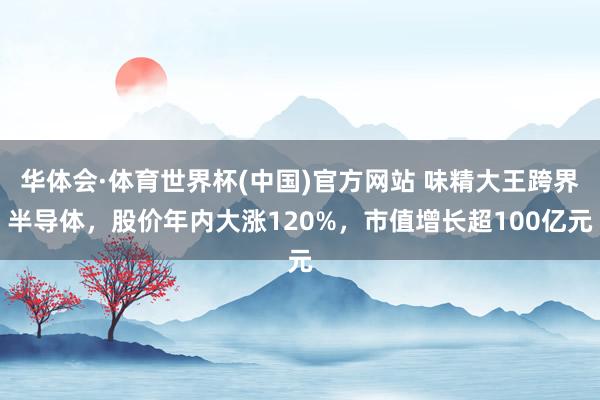 华体会·体育世界杯(中国)官方网站 味精大王跨界半导体,股价年内大涨120%,市值增长超100亿元