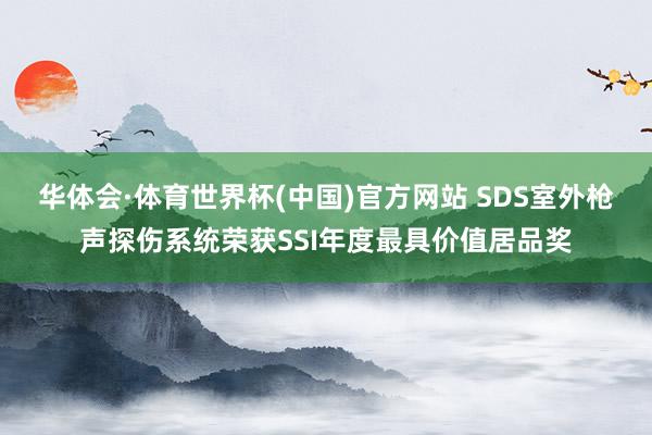 华体会·体育世界杯(中国)官方网站 SDS室外枪声探伤系统荣获SSI年度最具价值居品奖