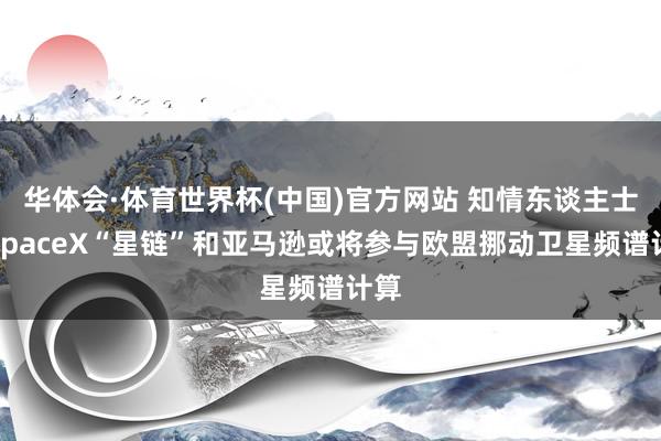 华体会·体育世界杯(中国)官方网站 知情东谈主士:SpaceX“星链”和亚马逊或将参与欧盟挪动卫星频谱计算