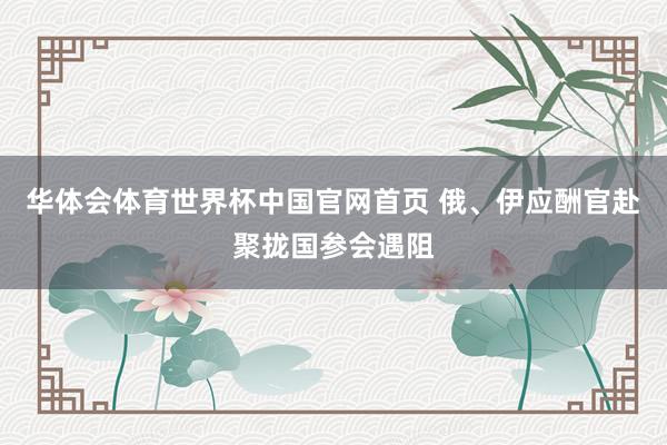 华体会体育世界杯中国官网首页 俄、伊应酬官赴聚拢国参会遇阻