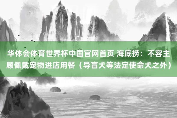 华体会体育世界杯中国官网首页 海底捞:不容主顾佩戴宠物进店用餐(导盲犬等法定使命犬之外)