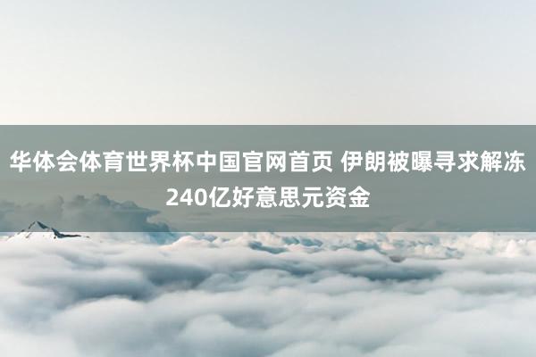 华体会体育世界杯中国官网首页 伊朗被曝寻求解冻240亿好意思元资金
