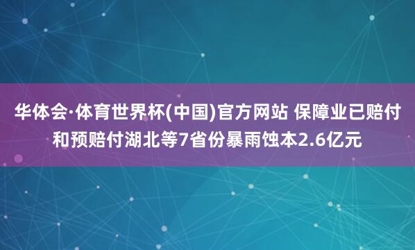 华体会·体育世界杯(中国)官方网站 保障业已赔付和预赔付湖北等7省份暴雨蚀本2.6亿元