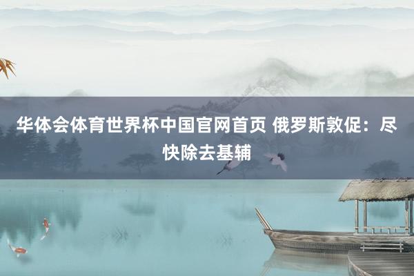 华体会体育世界杯中国官网首页 俄罗斯敦促：尽快除去基辅