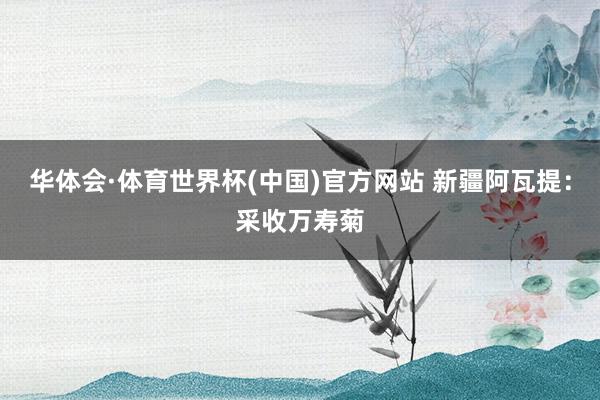 华体会·体育世界杯(中国)官方网站 新疆阿瓦提:采收万寿菊