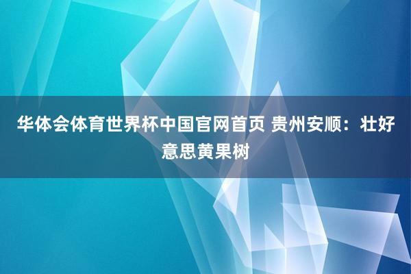 华体会体育世界杯中国官网首页 贵州安顺：壮好意思黄果树
