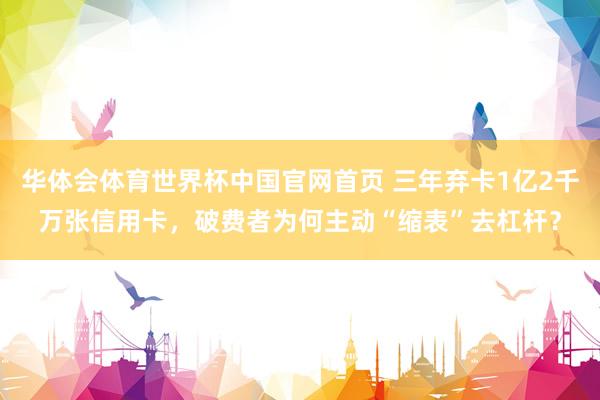 华体会体育世界杯中国官网首页 三年弃卡1亿2千万张信用卡,破费者为何主动“缩表”去杠杆?