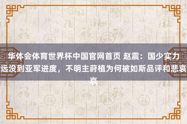 华体会体育世界杯中国官网首页 赵震:国少实力远没到亚军进度,不明主莳植为何被如斯品评和悲哀