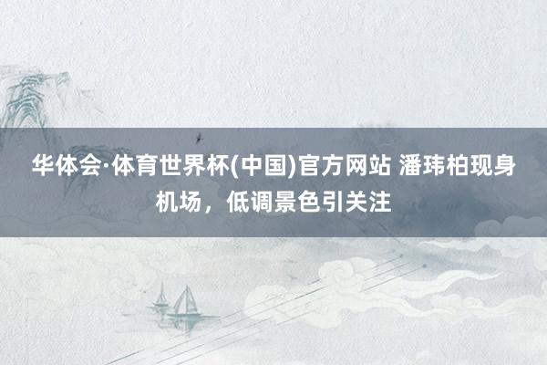 华体会·体育世界杯(中国)官方网站 潘玮柏现身机场，低调景色引关注