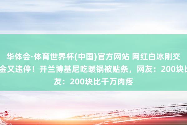 华体会·体育世界杯(中国)官方网站 网红白冰刚交1891万罚金又违停！开兰博基尼吃暖锅被贴条，网友：200块比千万肉疼