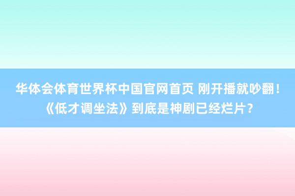 华体会体育世界杯中国官网首页 刚开播就吵翻！《低才调坐法》到底是神剧已经烂片？