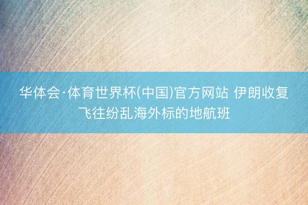 华体会·体育世界杯(中国)官方网站 伊朗收复飞往纷乱海外标的地航班