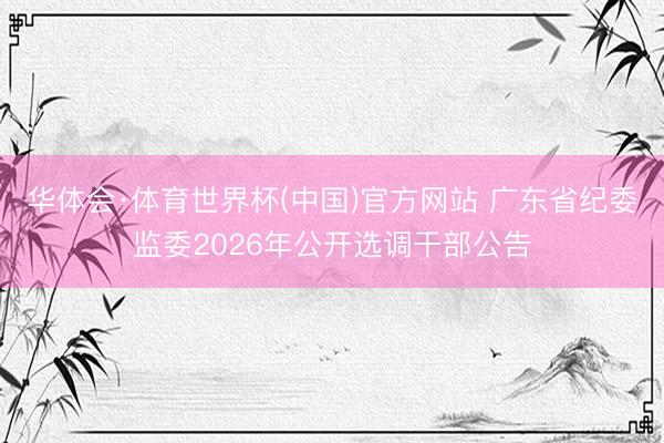 华体会·体育世界杯(中国)官方网站 广东省纪委监委2026年公开选调干部公告