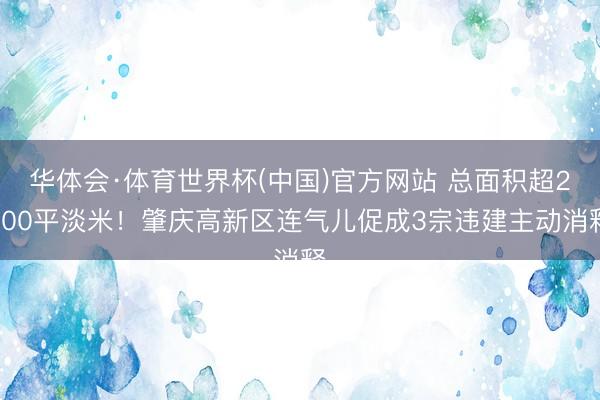 华体会·体育世界杯(中国)官方网站 总面积超2100平淡米！肇庆高新区连气儿促成3宗违建主动消释