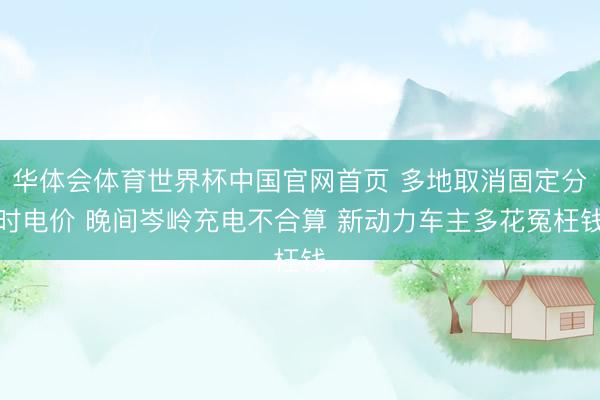 华体会体育世界杯中国官网首页 多地取消固定分时电价 晚间岑岭充电不合算 新动力车主多花冤枉钱