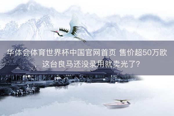 华体会体育世界杯中国官网首页 售价超50万欧,这台良马还没录用就卖光了?